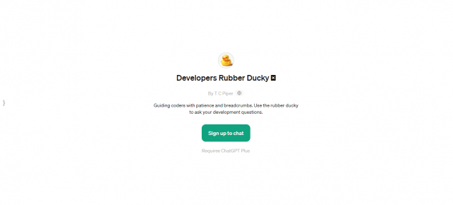 Developers Rubber Ducky