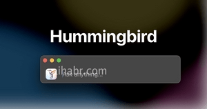 Hummingbirdм