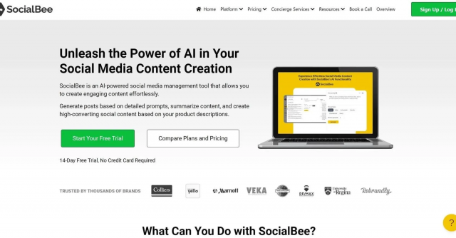 SocialBee