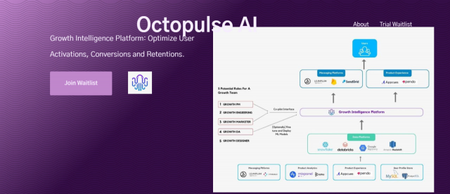 Octopulse AI