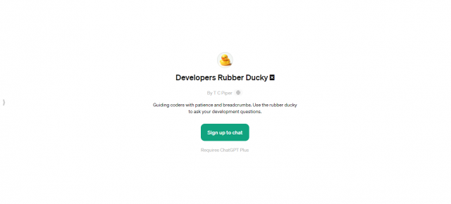 Developers Rubber Ducky